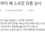 배 소포장 유통 실시 -원예산업신문(20190102)